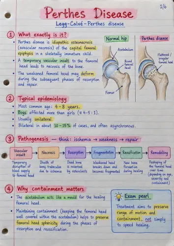Perthe's disease preview